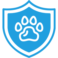 pet insurance icon